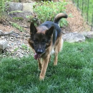 Meet your Posher, Cassidy